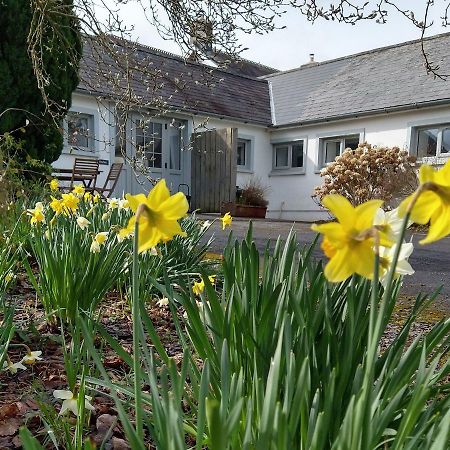 Dinefwr Cottage 卡马森 外观 照片