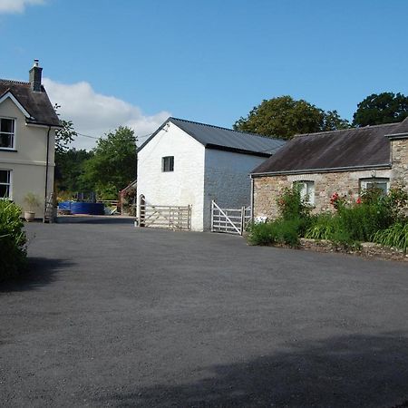 Dinefwr Cottage 卡马森 外观 照片