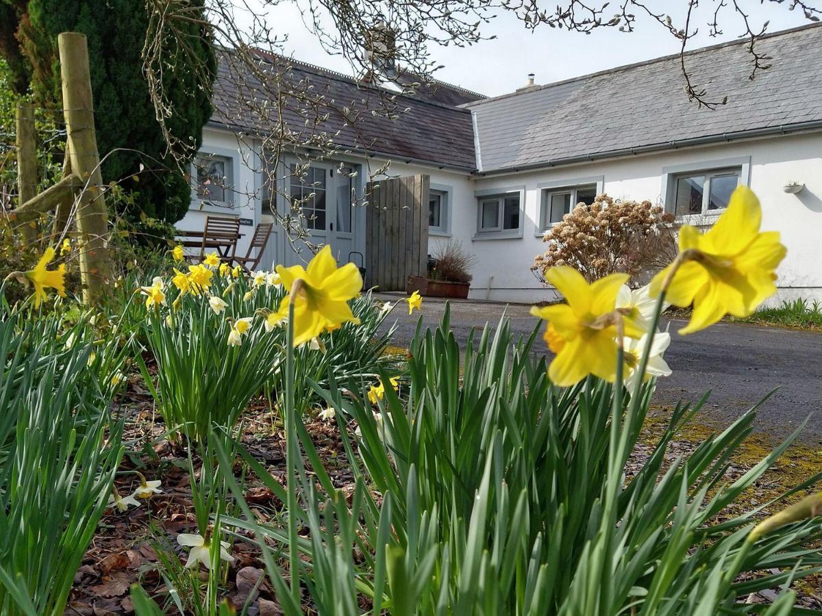 Dinefwr Cottage 卡马森 外观 照片