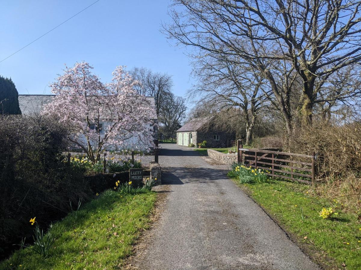 Dinefwr Cottage 卡马森 外观 照片