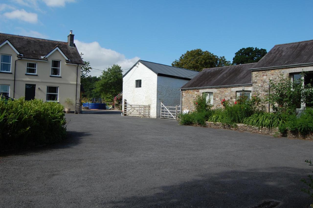 Dinefwr Cottage 卡马森 外观 照片