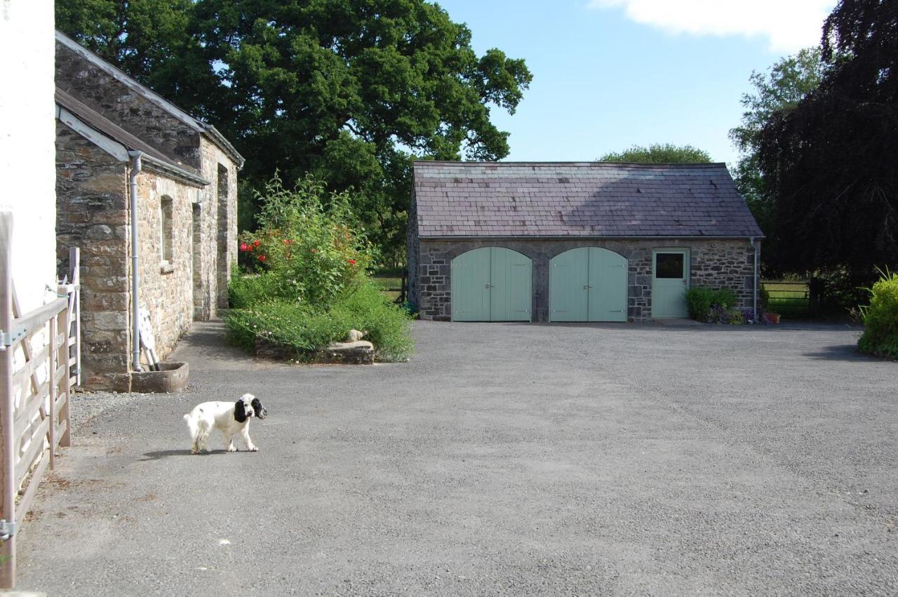 Dinefwr Cottage 卡马森 外观 照片